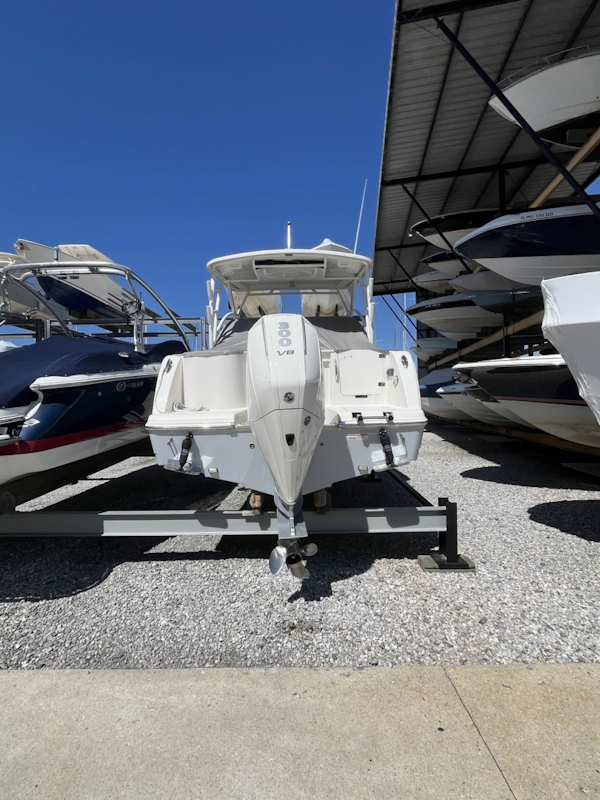 Sailfish-245 DC 2024 -Annapolis-Maryland-United States-6108286