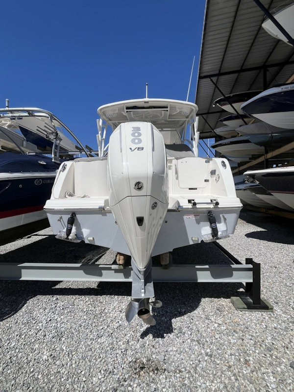 Sailfish-245 DC 2024 -Annapolis-Maryland-United States-6108287