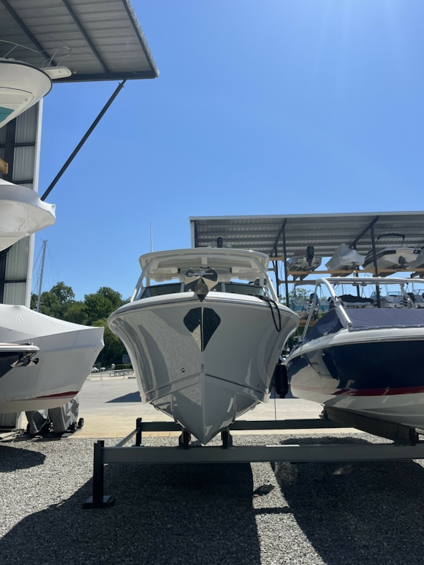 Sailfish-245 DC 2024 -Annapolis-Maryland-United States-6108283