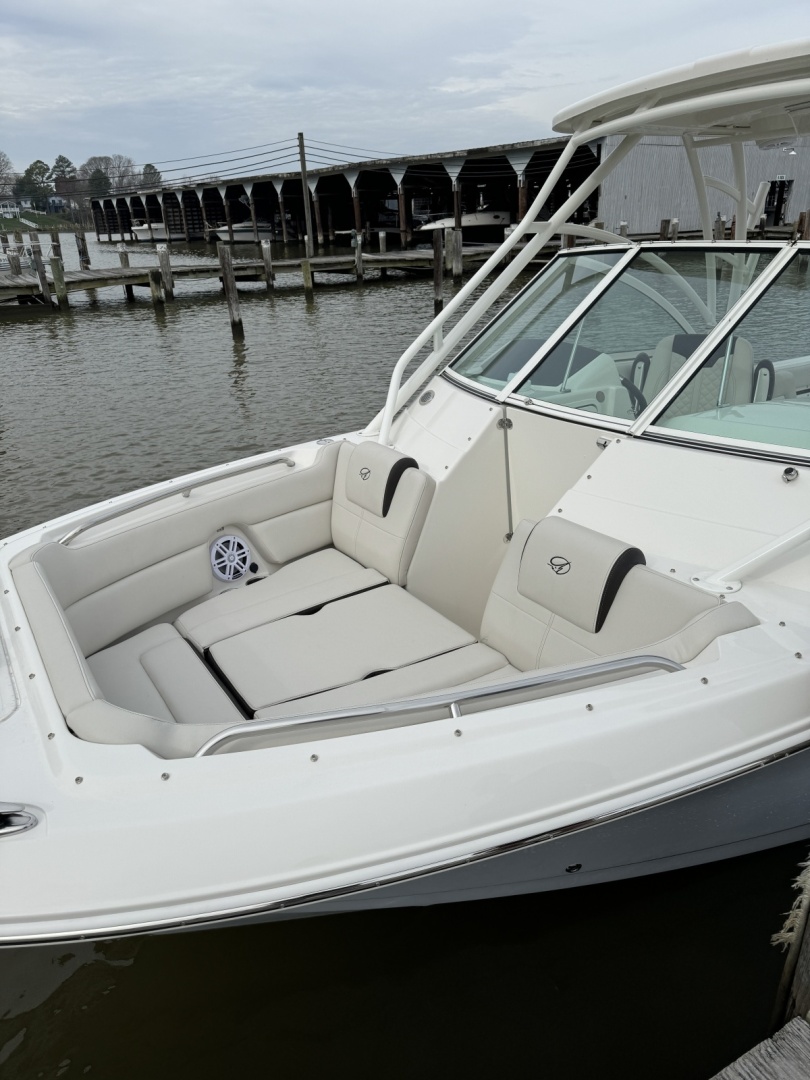 Sailfish-245 DC 2024 -Annapolis-Maryland-United States-6108278 | Thumbnail