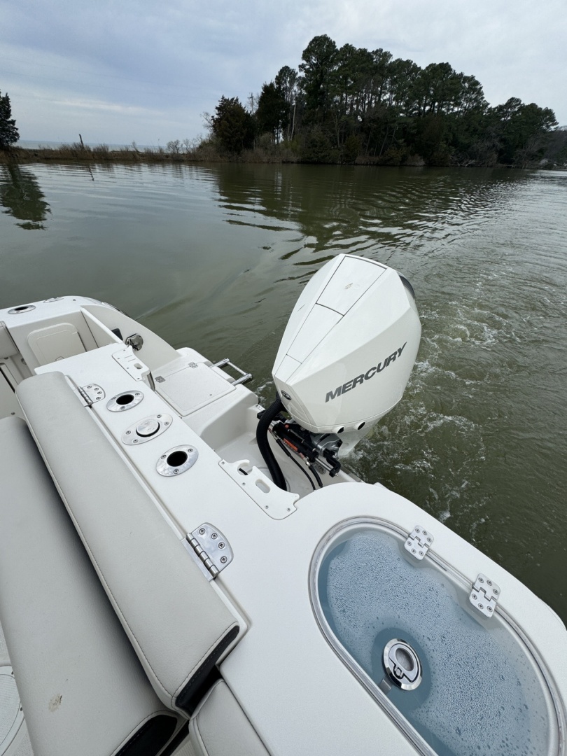 Sailfish-245 DC 2024 -Annapolis-Maryland-United States-6108276 | Thumbnail