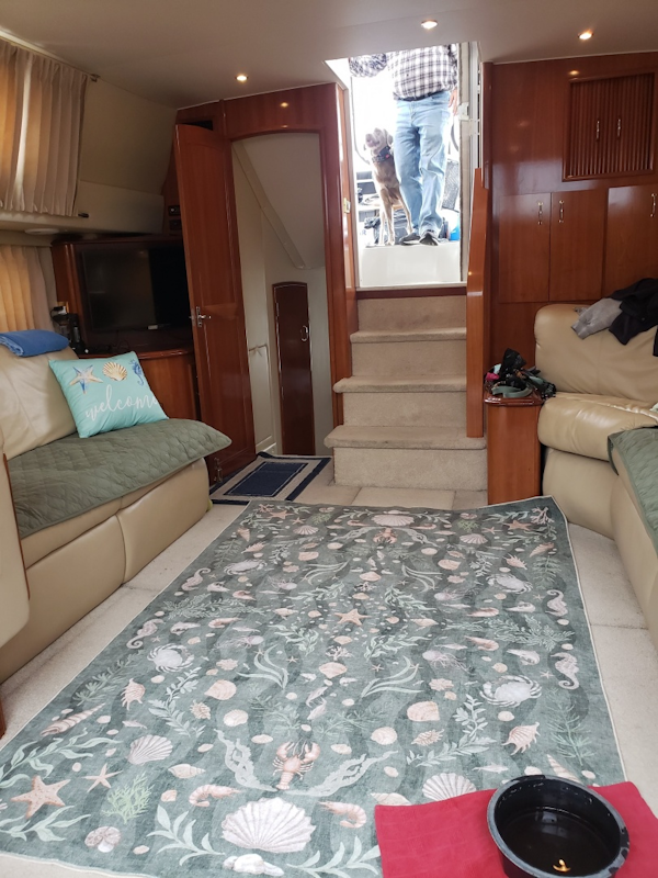 Carver-444 Motor Yacht 2005 -Arcadia-Michigan-United States-6108534