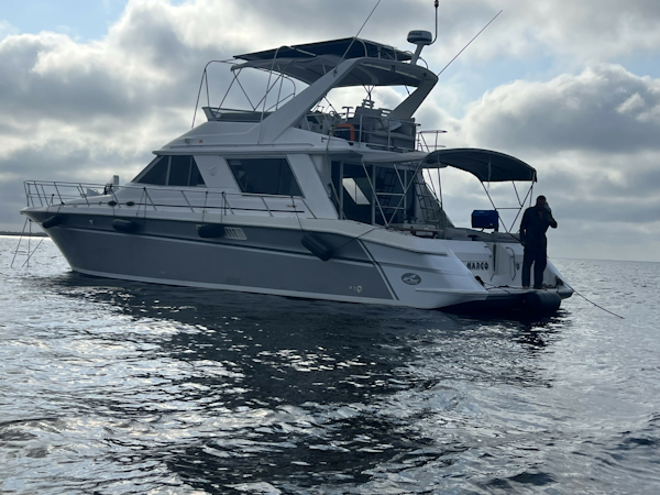 Sea Ray-550 1995 -Port Charlotte-Florida-United States-6108755
