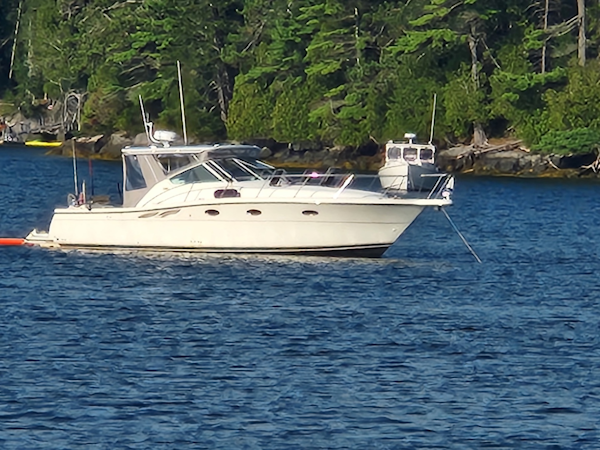 Tiara Yachts-3500 Open 1998-CRAZY LOVE Harpswell-Maine-United States-6109157