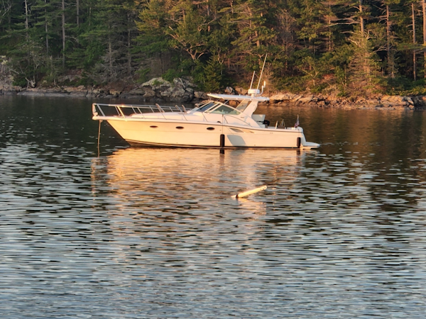 Tiara Yachts-3500 Open 1998-CRAZY LOVE Harpswell-Maine-United States-6109140