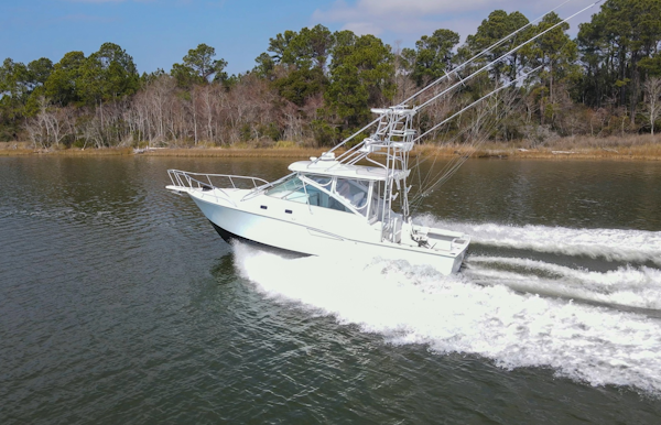 Cabo 1995 -Orange Beach-Alabama-United States-6112940