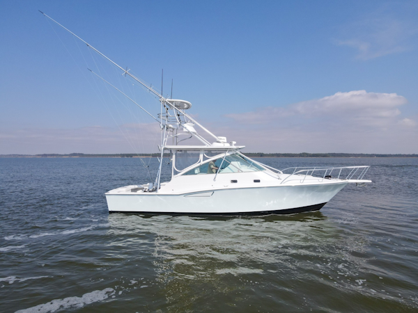 Cabo 1995 -Orange Beach-Alabama-United States-6112934