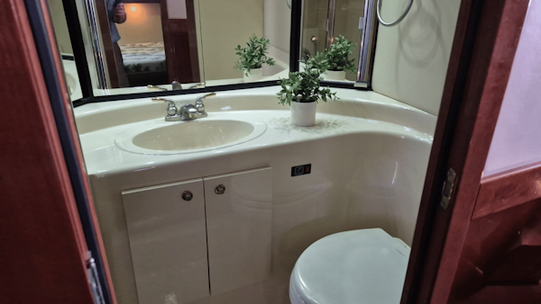 Meridian-490 Pilot House 2008-Dancyn Southport-North Carolina-United States-Guest Head with Shower-6112993