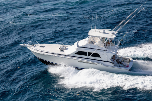 Bertram 1998 -Stuart-Florida-United States-6286150
