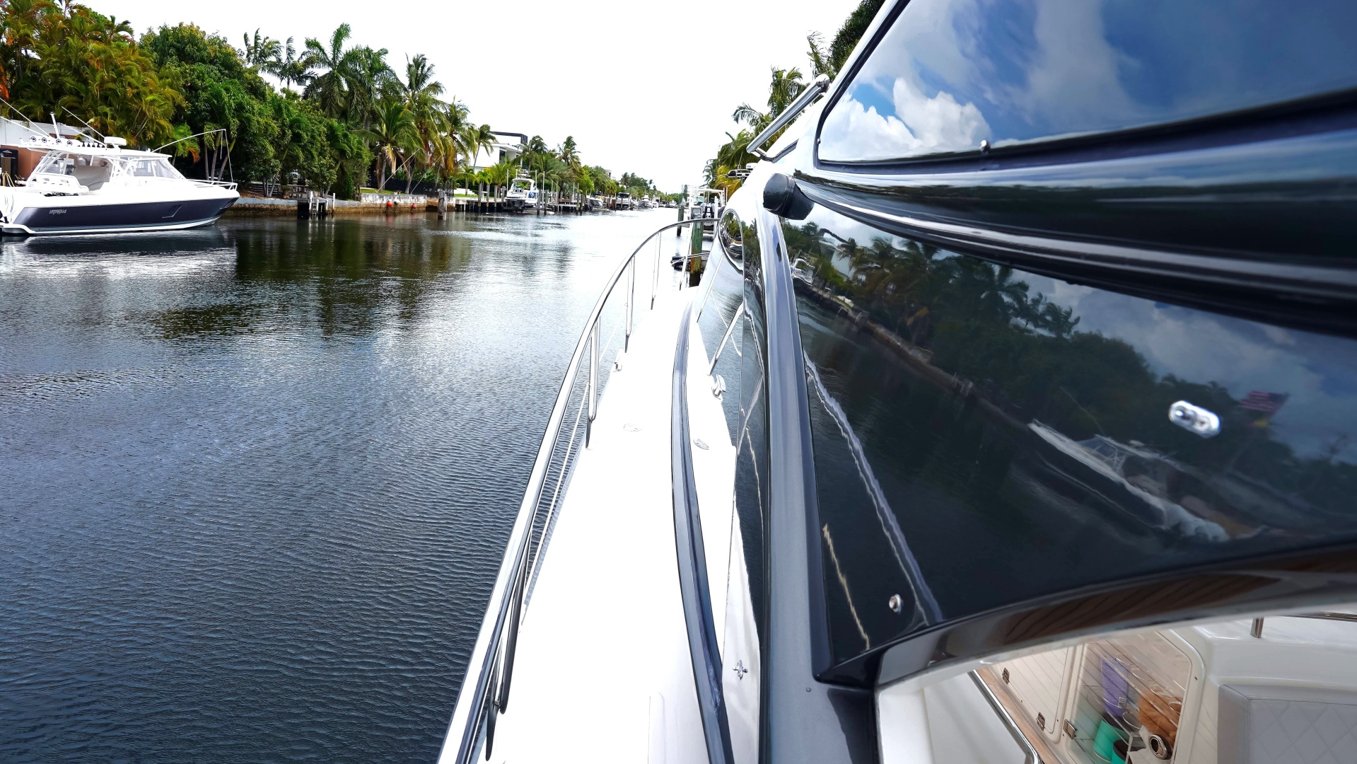 Schaefer 2023 -North Miami Beach-Florida-United States-6203668 | Thumbnail