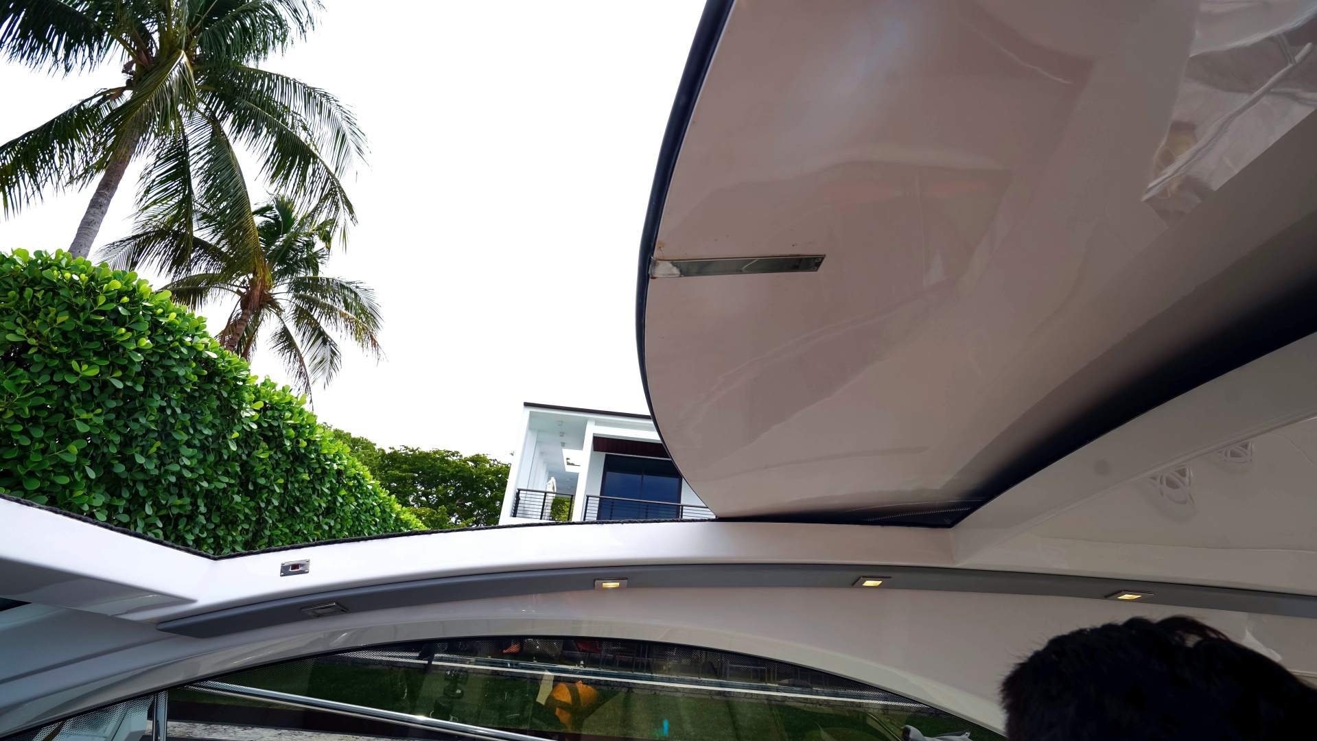 Schaefer 2023 -North Miami Beach-Florida-United States-6203716 | Thumbnail