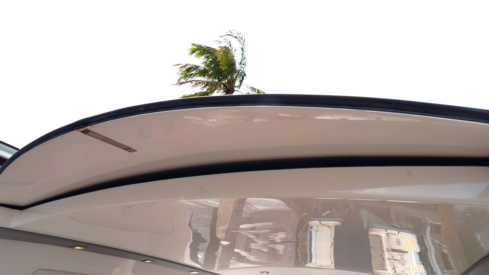 Schaefer 2023 -North Miami Beach-Florida-United States-6203717 | Thumbnail