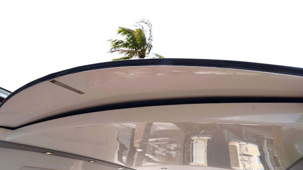 Schaefer 2023 -North Miami Beach-Florida-United States-6203717