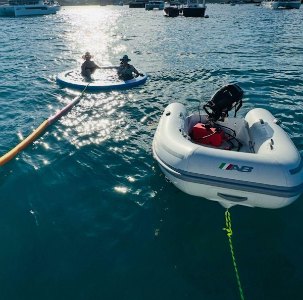 Beneteau-Oceanis 31 2013-Olive Elaine West End-Virgin Islands (British)-6135917