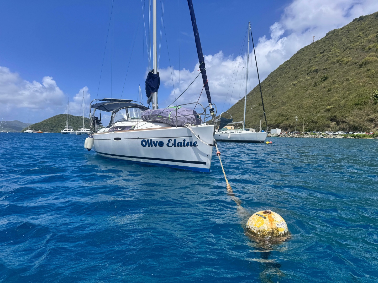 Beneteau-Oceanis 31 2013-Olive Elaine West End-Virgin Islands (British)-6135934 | Thumbnail