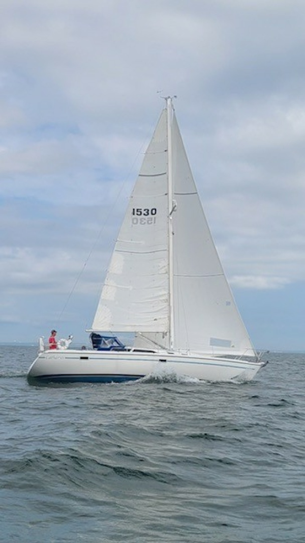 Catalina-36 MKII 1996-Catharsis Mattapoisett-Massachusetts-United States-6133872