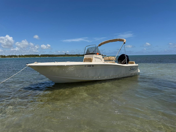 Scout-195 Sportfish 2019 -Key Biscayne-Florida-United States-6135998
