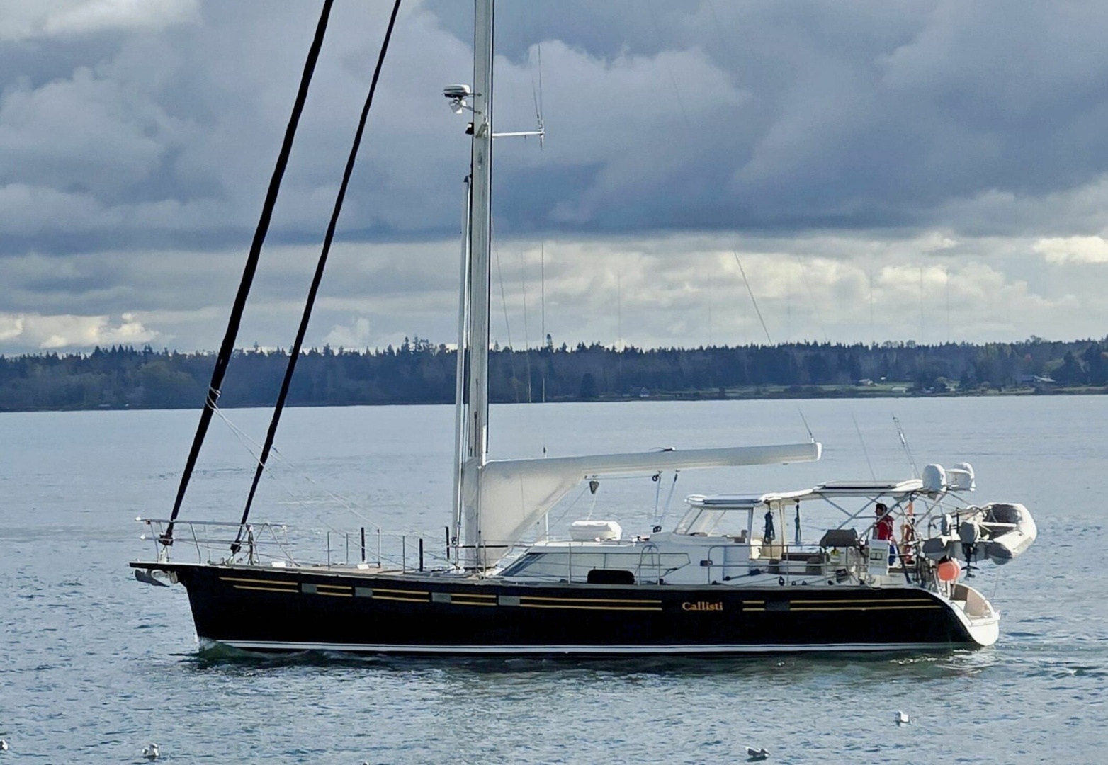 Waterline-50 2006-CALLISTI Anacortes-Washington-United States-6136112 | Thumbnail