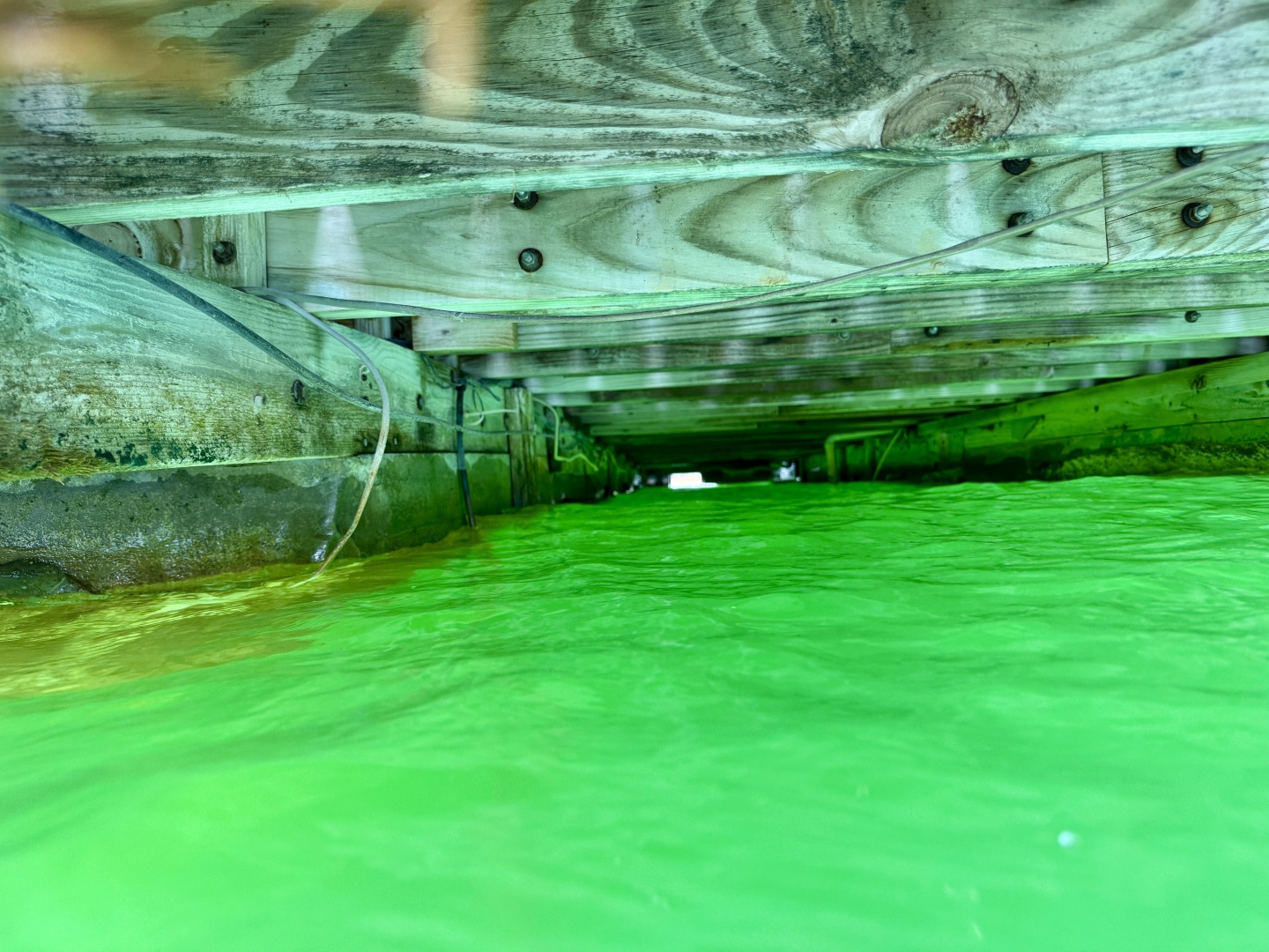 Custom-18 x 24 Off-Grid Floating Cabin Approx 385sqft 1978 -Norris Lake-Tennessee-United States-6145841 | Thumbnail