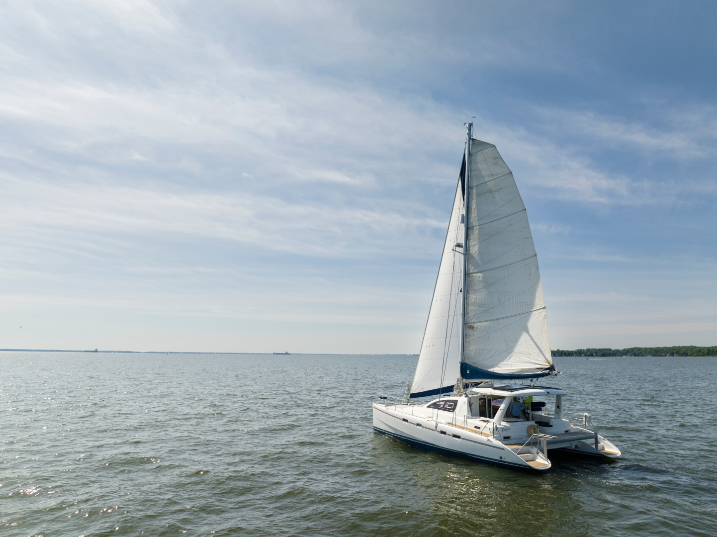 Leopard-43 2006-ESCAPE Galesville-Maryland-United States-6181791 | Thumbnail