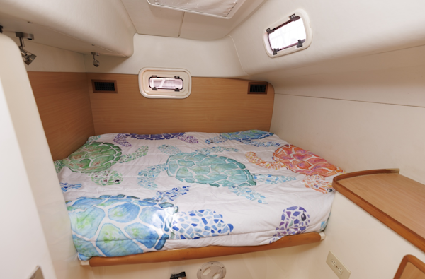 Leopard-43 2006-ESCAPE Galesville-Maryland-United States-6181757