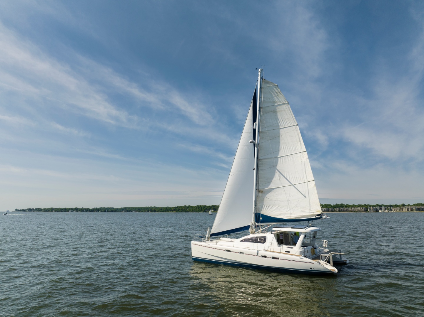Leopard-43 2006-ESCAPE Galesville-Maryland-United States-6181794 | Thumbnail
