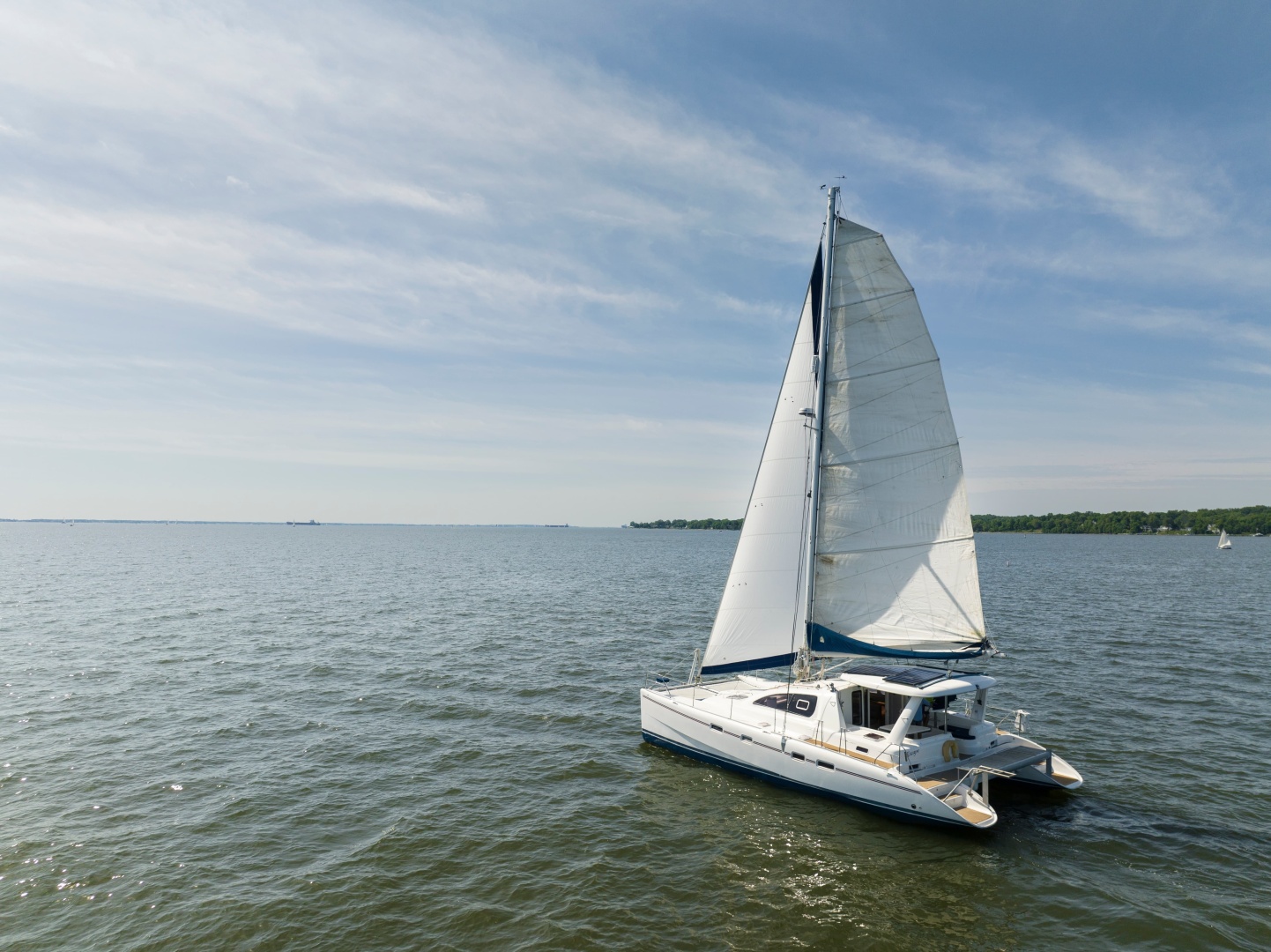 Leopard-43 2006-ESCAPE Galesville-Maryland-United States-6181790 | Thumbnail