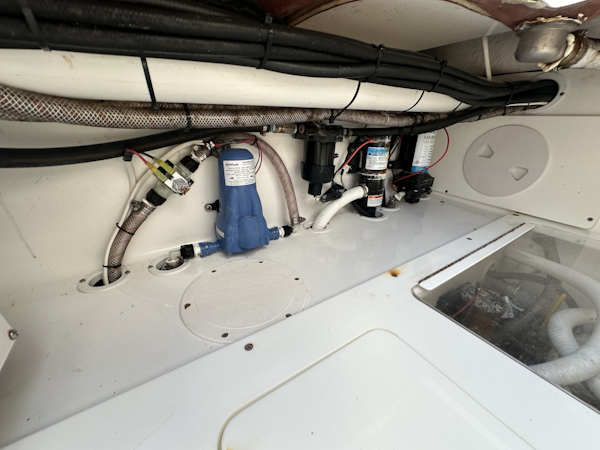 SeaHunter-33 Tournament 2023 -Lakeland-Florida-United States-6186619