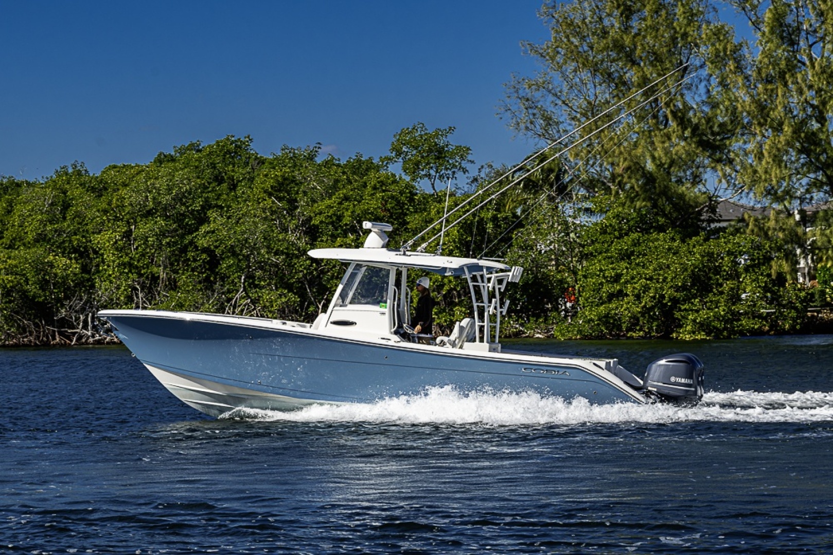 Cobia-320 CC 2021 -Boca Raton -Florida-United States-6187520 | Thumbnail