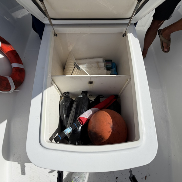 Sea Hunt-GameFish 30 2015 -Parick Air Force Base -Florida-United States-6187664