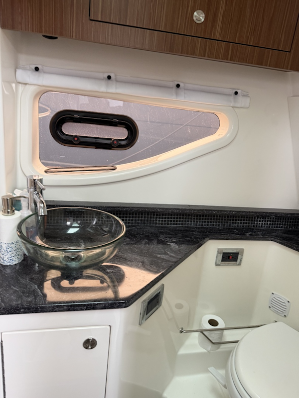 Sea Ray-370 Sundancer 2022 -Greenwich-Connecticut-United States-6187753