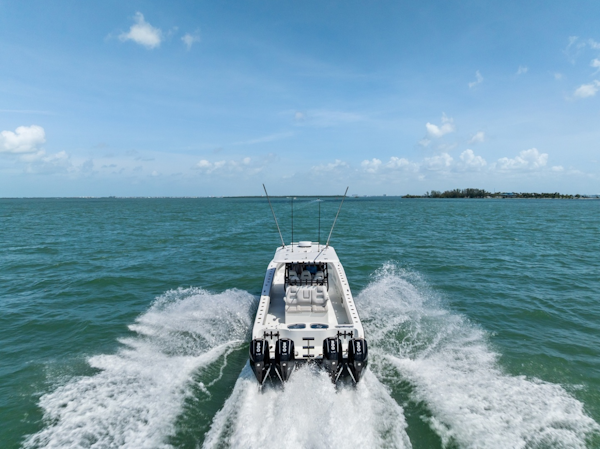 Freeman-42 LR 2020 -St Petersburg-Florida-United States-6248629
