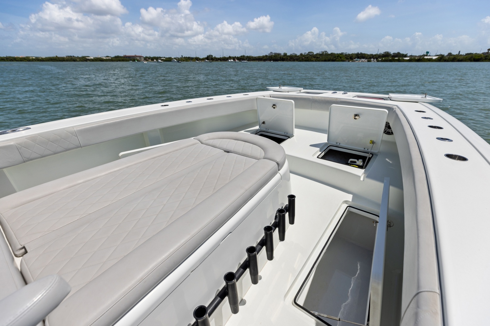Freeman-42 LR 2020 -St Petersburg-Florida-United States-6248681 | Thumbnail