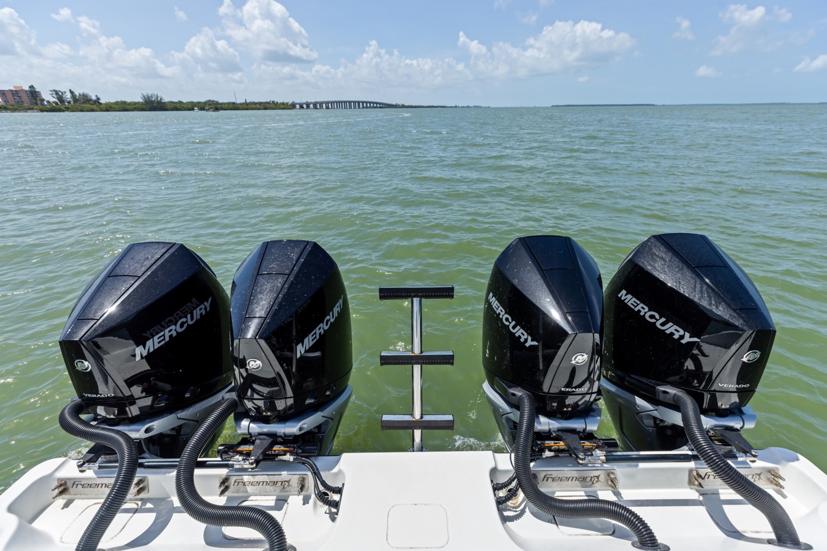 Freeman-42 LR 2020 -St Petersburg-Florida-United States-6248639 | Thumbnail