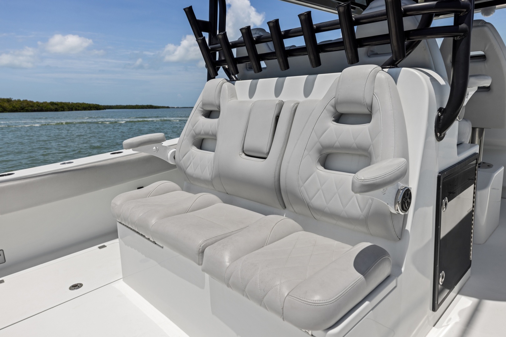 Freeman-42 LR 2020 -St Petersburg-Florida-United States-6248719 | Thumbnail