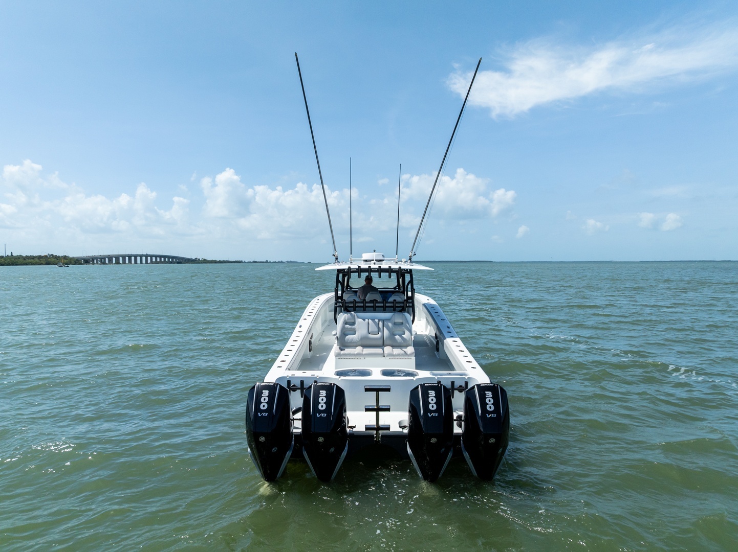 Freeman-42 LR 2020 -St Petersburg-Florida-United States-6248615 | Thumbnail
