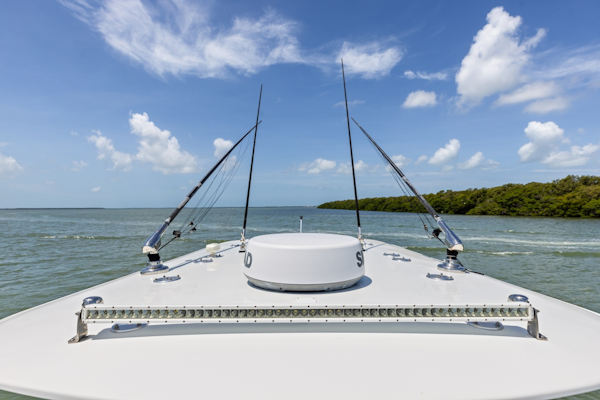Freeman-42 LR 2020 -St Petersburg-Florida-United States-6248673
