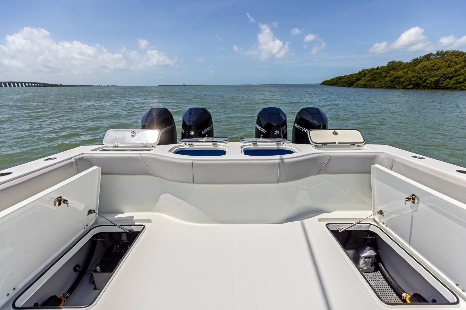 Freeman-42 LR 2020 -St Petersburg-Florida-United States-6248684 | Thumbnail