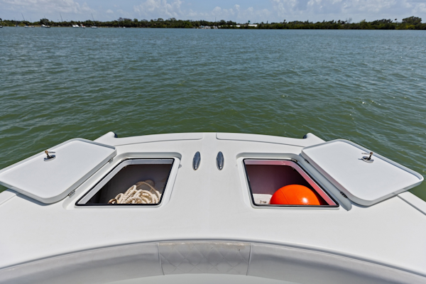 Freeman-42 LR 2020 -St Petersburg-Florida-United States-6248682