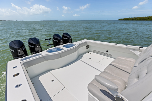Freeman-42 LR 2020 -St Petersburg-Florida-United States-6248636