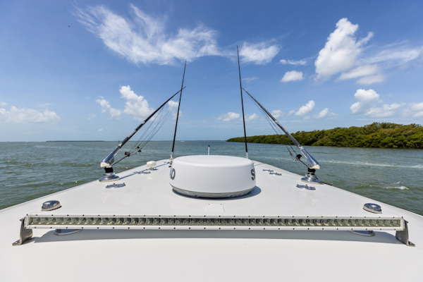 Freeman-42 LR 2020 -St Petersburg-Florida-United States-6248675