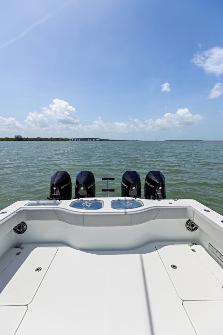 Freeman-42 LR 2020 -St Petersburg-Florida-United States-6248654 | Thumbnail