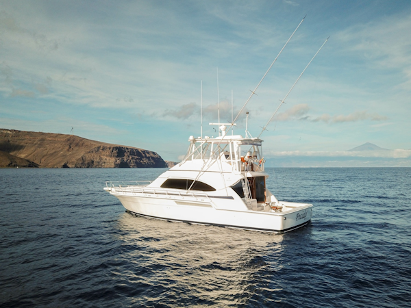 Bertram-510 Convertible 2006-Pecado Azores-Portugal-6348010