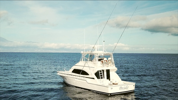 Bertram-510 Convertible 2006-Pecado Azores-Portugal-6348006