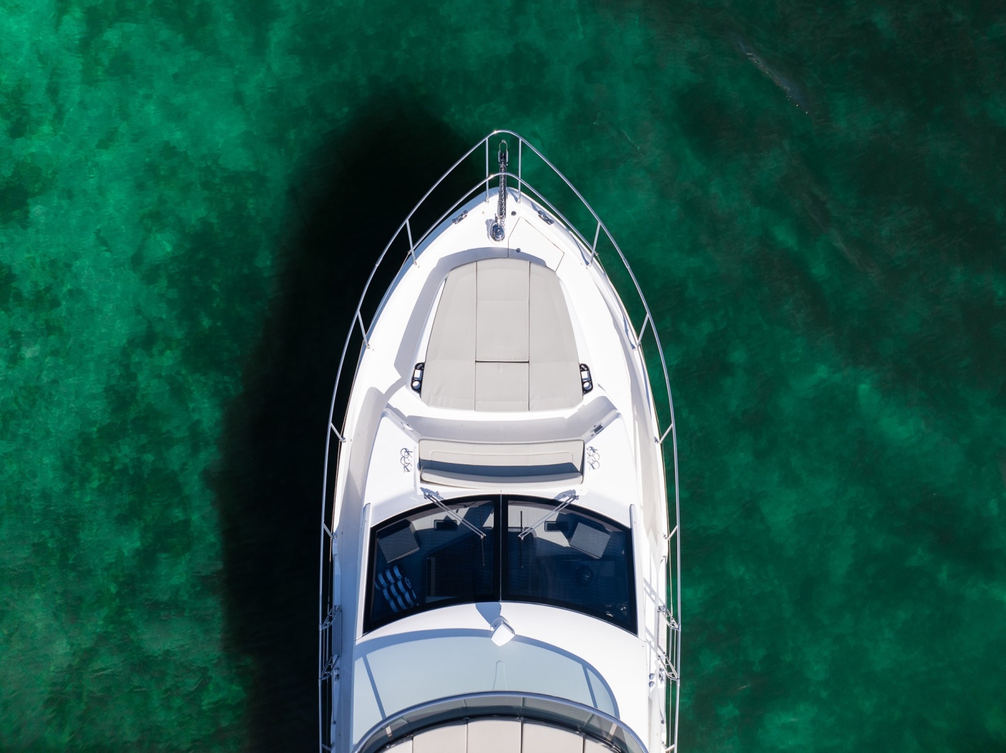 Absolute-50 Fly 2020-Holy Moly Boca Raton-Florida-United States-6252965 | Thumbnail