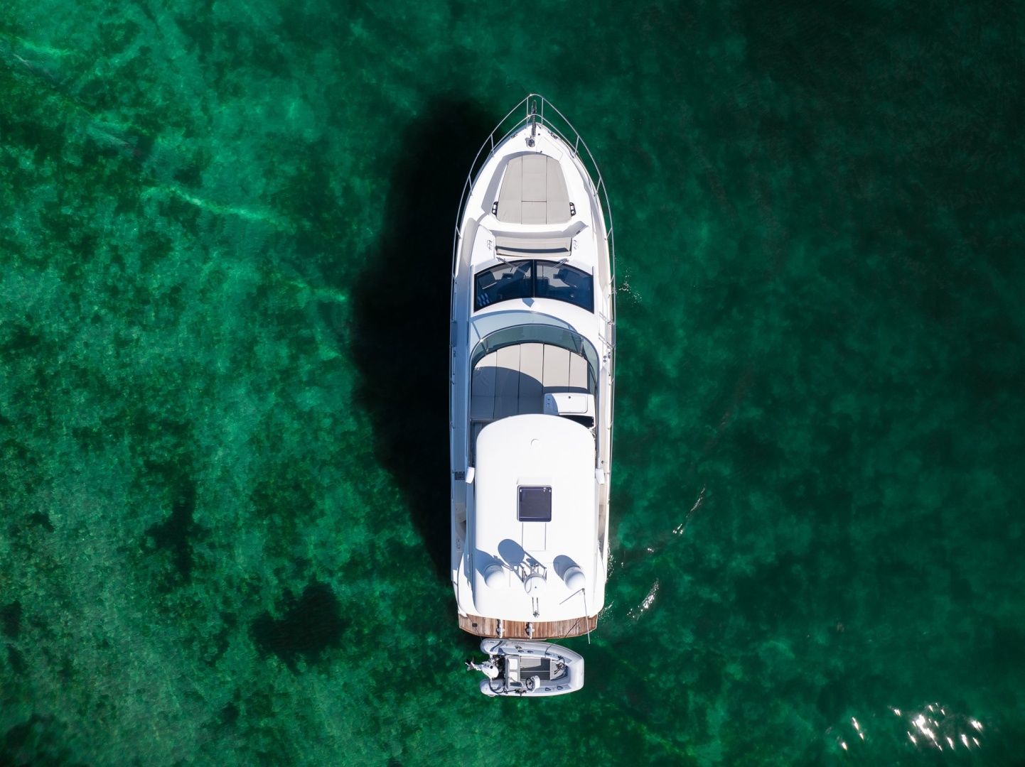 Absolute-50 Fly 2020-Holy Moly Boca Raton-Florida-United States-6252966 | Thumbnail
