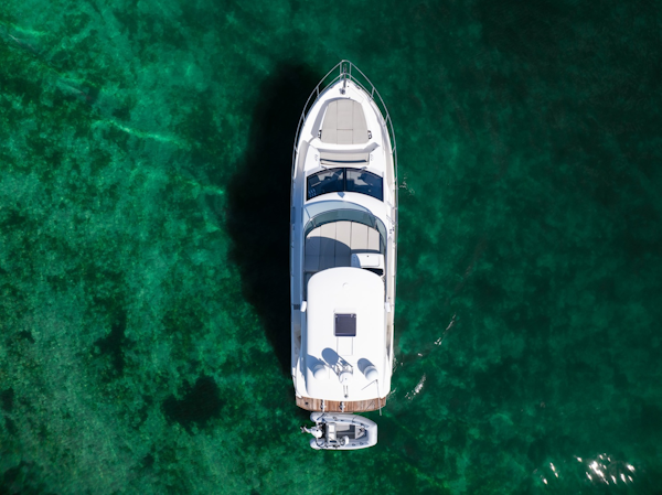 Absolute-50 Fly 2020-Holy Moly Boca Raton-Florida-United States-6252966