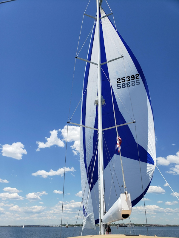 Jeanneau-Sun Odyssey 54 DS 2007-Liberté Brunswick-Georgia-United States-6253057