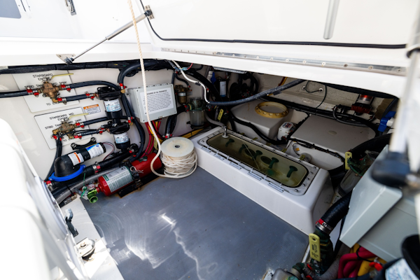 Scout-400 LXF 2024 -North Palm Beach-Florida-United States-6257535