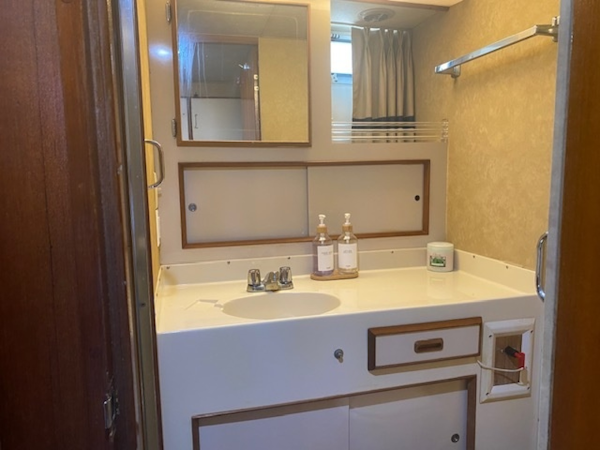 Bertram-35 Convertible 1984-Night Moves Neptune-New Jersey-United States-6259643